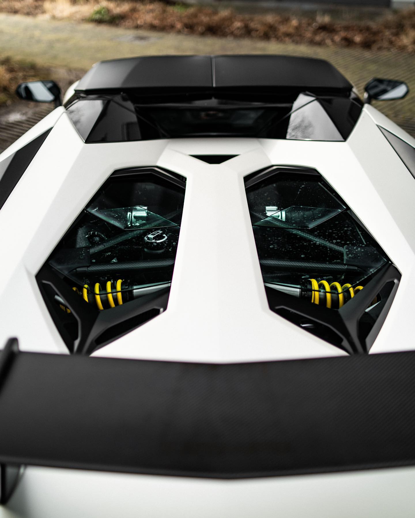 蘭博基尼Aventador SV Roadster